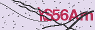 Code captcha